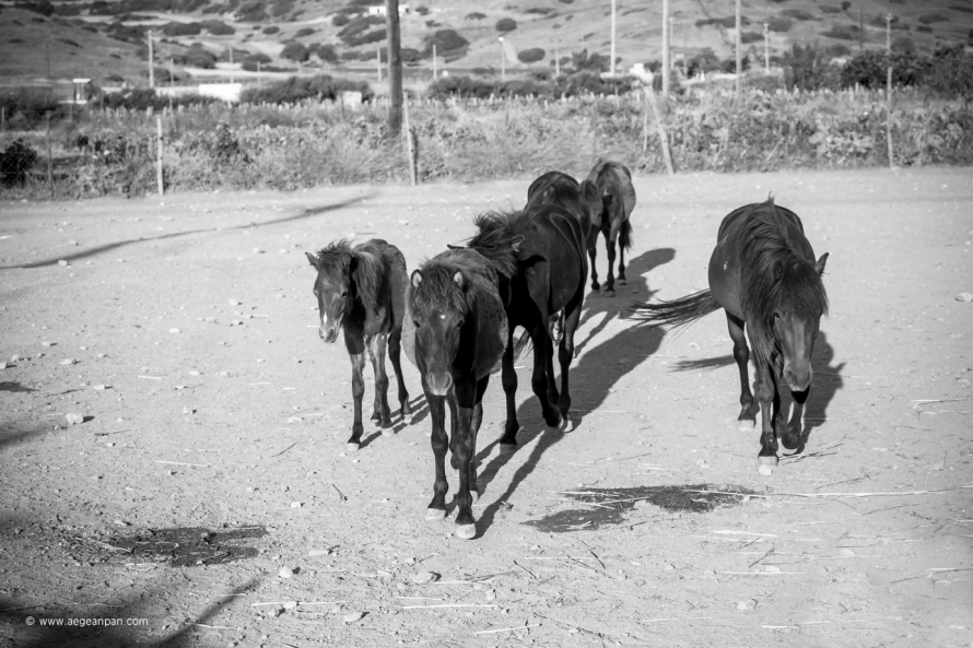 skyros_04